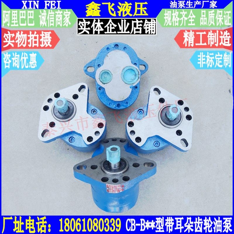 带耳泵CBW-B40  TCBW-B50 ZCBW-B63  CB-B50-D齿轮油泵 铸铁 车床