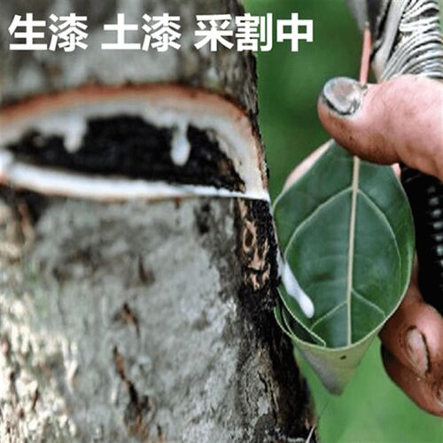 四川绵阳精d滤生漆天然大漆/土漆/手擦漆漆画古琴漆艺漆器脱胎夹
