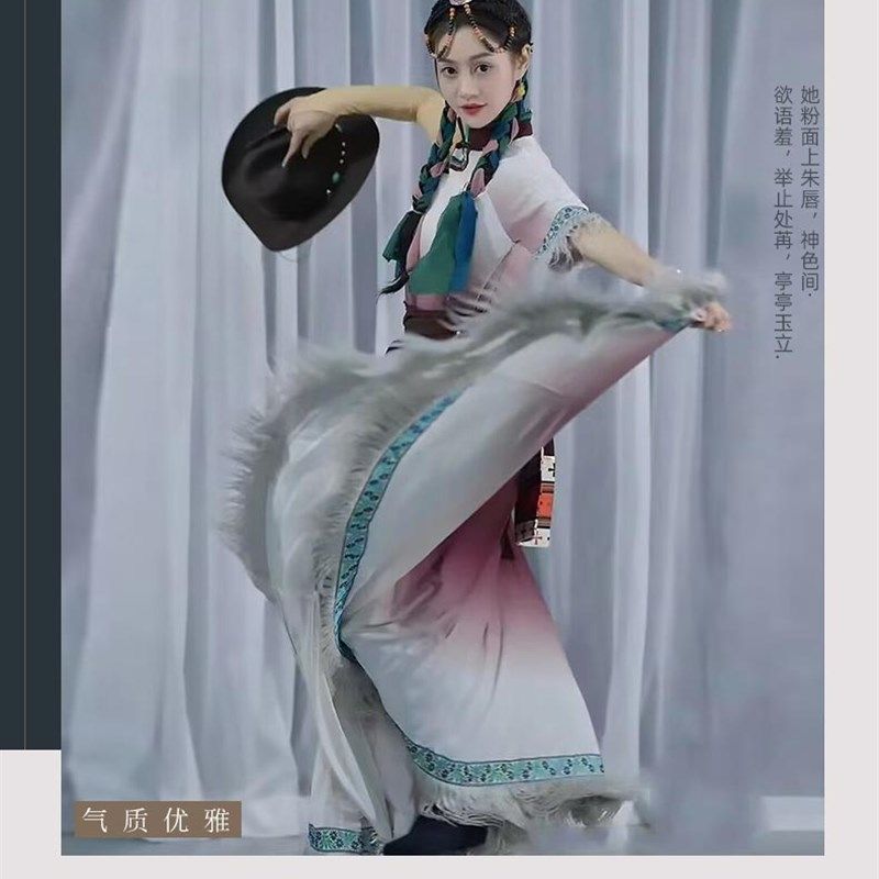 藏族舞蹈演出服装藏式少数民族女学生艺考舞蹈练习舞蹈半身长裙