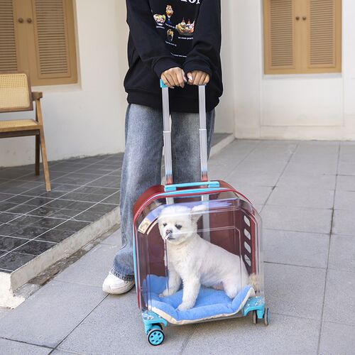 宠物拉杆箱c透明猫包外出便携狗狗行李箱猫咪太空舱旅行箱小型犬
