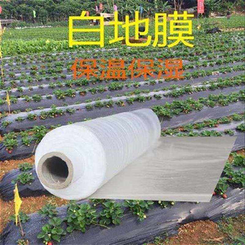 膜除草黑f加g厚打孔盖西瓜农膜农用地色种N植白膜1.Y2.米超薄塑