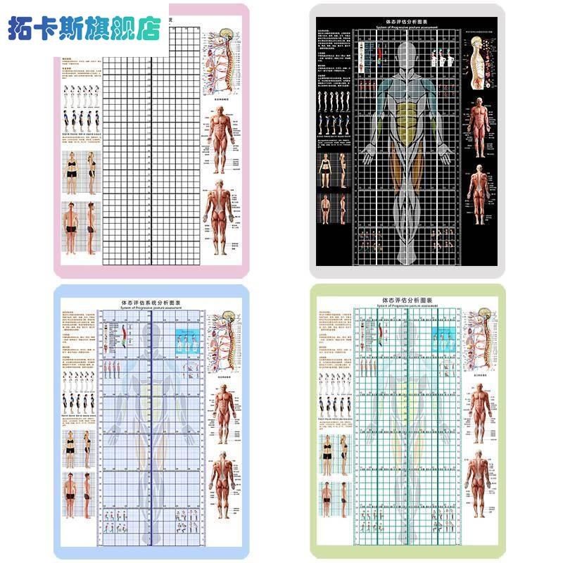 身体评估墙图体姿体态评估表壁纸A瑜伽健身私教姿势分析体测表挂