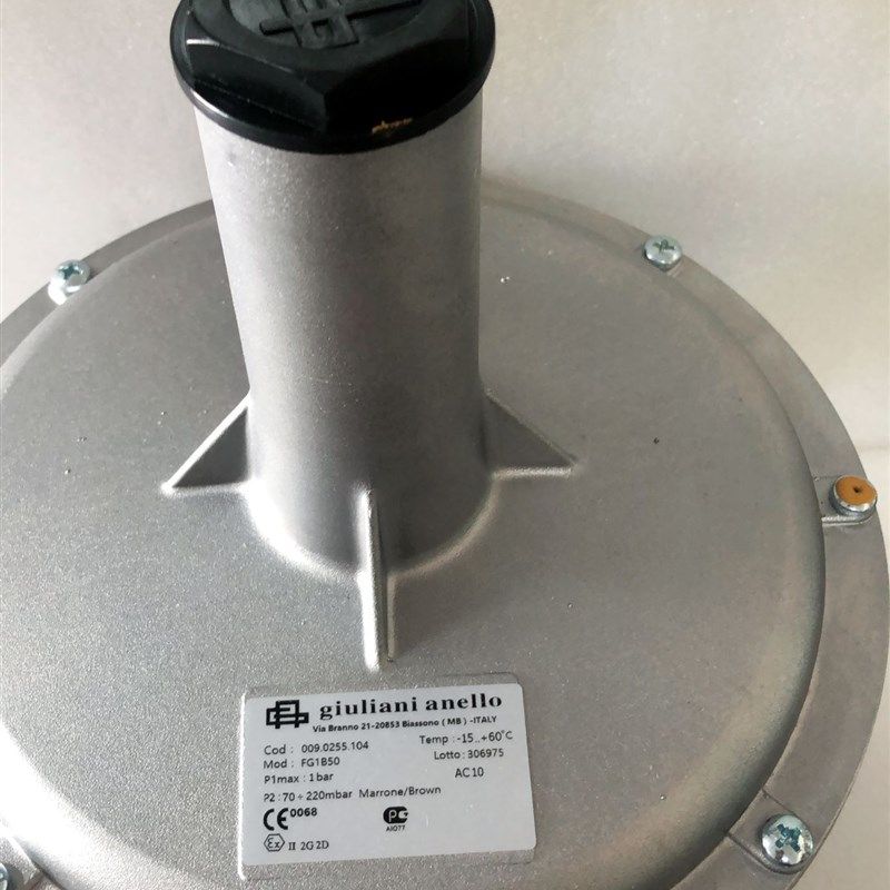 FG1B50贵龙减压阀