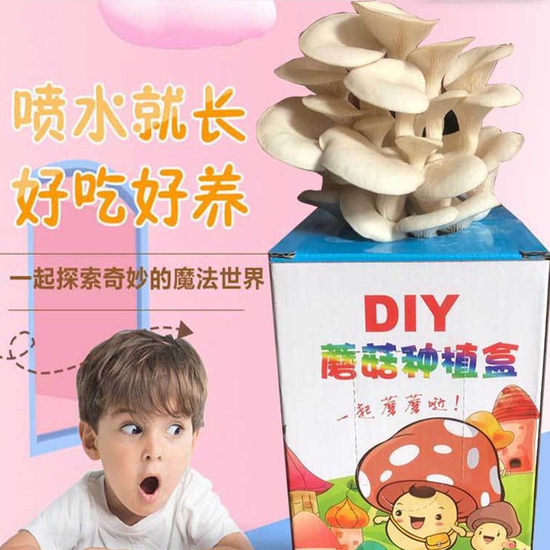 家庭蘑菇种植菌包DIY平菇菌包亲子游戏礼盒礼品可食用菌菇,鲜花速递/花卉仿真/绿植园艺,水枪,淘宝优惠券,粉丝福利购,淘宝优惠卷