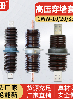 20-35KV高压穿墙套管CWW CWC CWB-10/200A3150A4000A预埋管铜导体