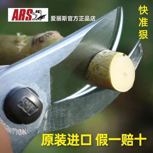 爱丽斯修枝剪园艺剪刀树枝专用剪刀园林修剪果树修枝修花剪工具