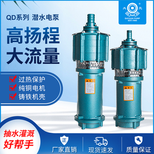 大元干式潜水泵降水农用灌溉喷灌小老鼠高扬程大流量多级220/380V