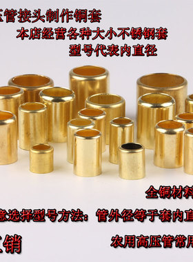 农用打药铜套皮喷雾器胶管接头专用配件卡箍铜皮锁紧套打药管配件
