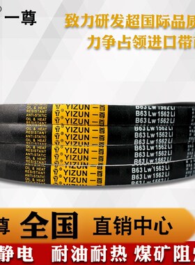 一尊金标三角带B93/94/95/96/97/98/99/100 进口防静电阻燃传动带