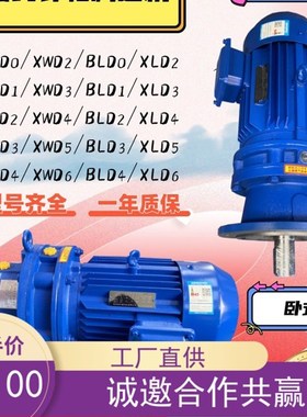 摆线针轮减速机BWD0#1#2#3#4#5#XWDD2#3#4#5#6#7#卧立式BLD搅拌机