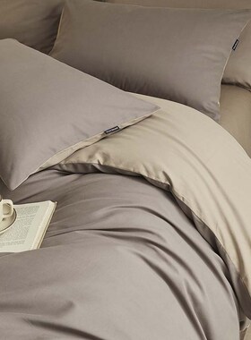 简约高级感A类纯色双拼秋冬100C支轻磨毛长绒棉四件套全棉被套