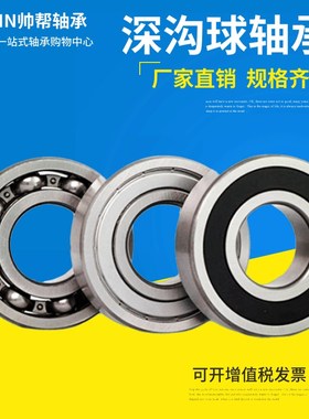 深沟球轴承6316 6317 6318 6319 6320 6321 6322 6324 6326ZZ/2RS