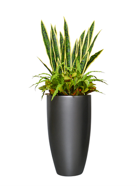 现代玻璃钢圆形银灰色落地大花y瓶酒店大堂软装饰品插绿植套装花