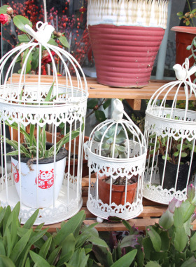 欧式田园铁艺鸟笼装饰品美式创意套三多肉花架花盆摆件婚庆道具落