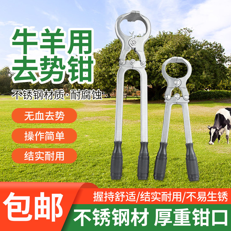 兽用去势钳猪牛羊用阉割钳无血不锈钢去势钳器械结扎W工具夹蛋钳