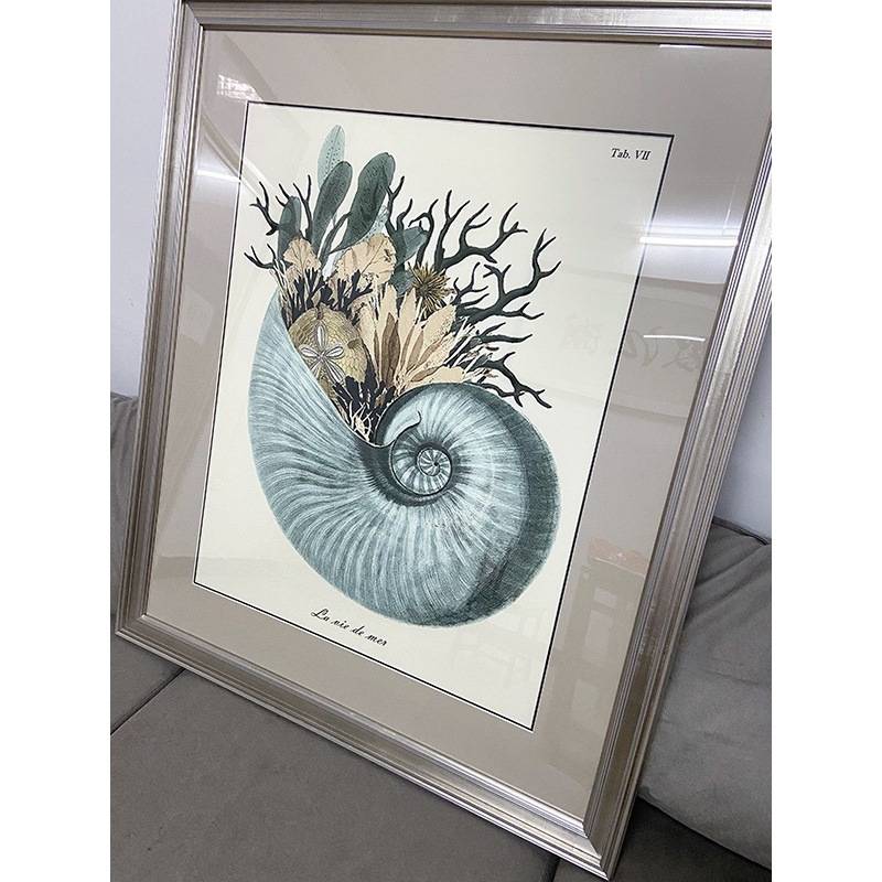ART美法式客厅沙发背景装饰画贝壳珊瑚法式玄关餐厅欧式挂画海螺图片