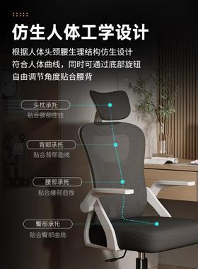 电脑椅家用久坐舒适办公靠背电竞椅宿椅桌ZG-80344舍学生学习椅书