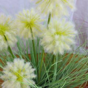 景源工厂仿真绿植蒲英栽橱景窗软公65157349装设计仿真植盆盆仿真