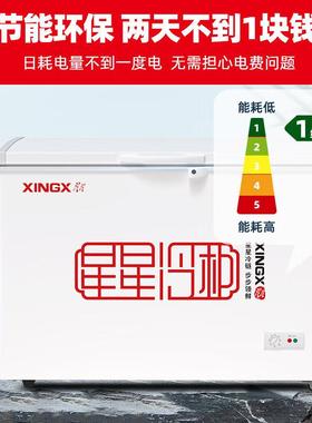 星143商用冷星柜219家用大冷冻冷级藏冰柜305升一节能超大容型量