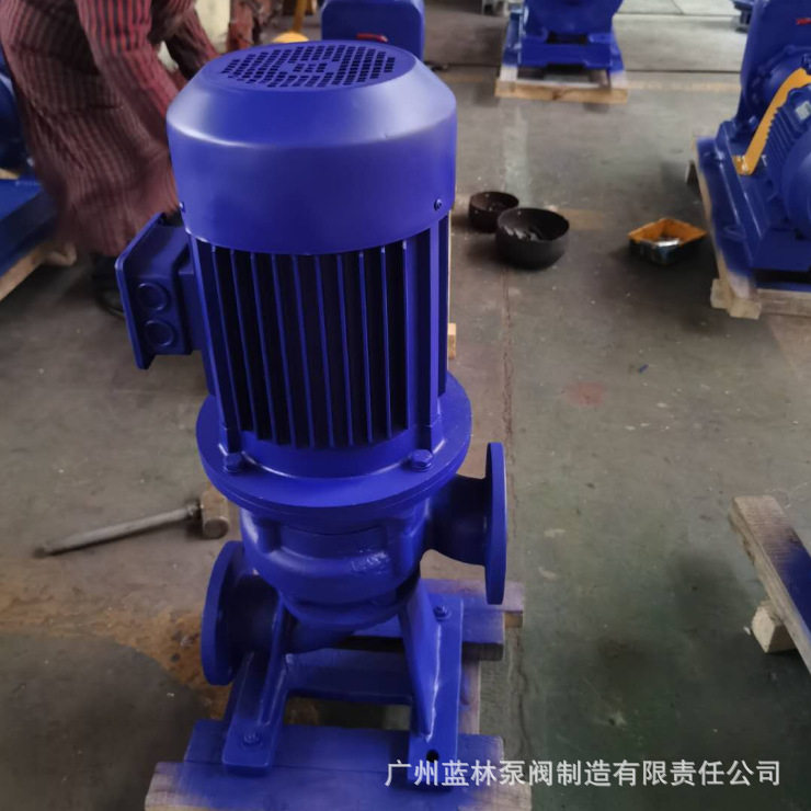 直立式干式污水管道泵80LW43