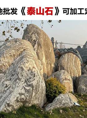 泰山石庭影院影TSS-11-0壁石迎门石背墙大型景校观石园村标牌刻字