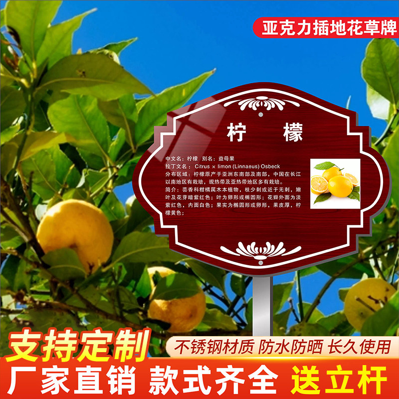 树木介绍标识牌【树木】信息牌