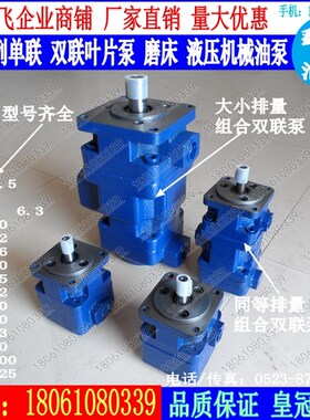 叶片泵YB1-10 6 4 6.3 12 16 25 32 40 50 63 80 100油泵单双联
