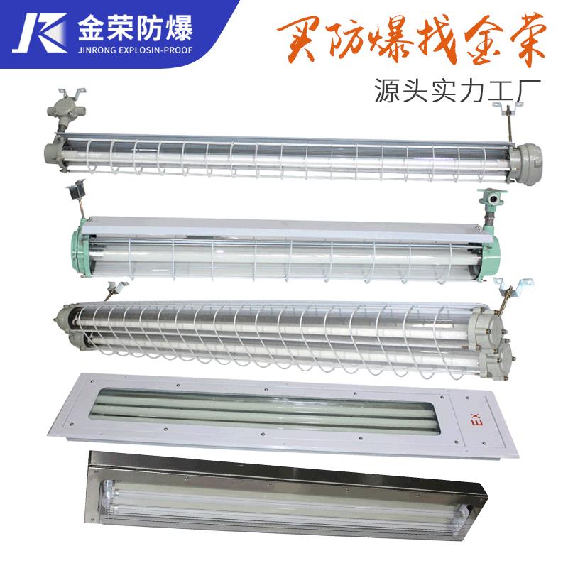 BPY52双管防爆荧光灯单管不锈钢净化灯IIC防潮防腐全塑IP66日光灯