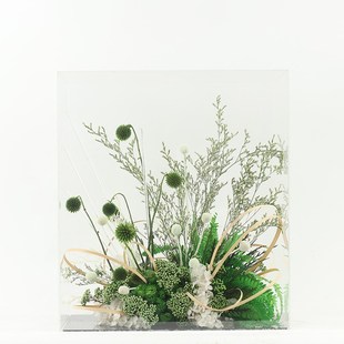 新中式现代简约亚克力盒仿真绿植花艺售楼处博古架茶几花架摆件设