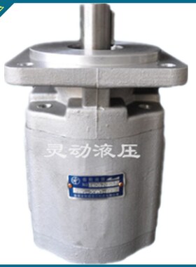 高压力高转速 CBGz2 齿轮油泵系列 CBG2/2 液压泵抗震高品质