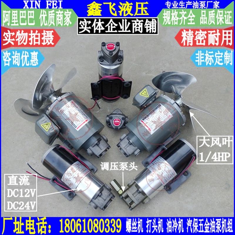 DC12v抽油泵 电动机油泵DC24V直流自吸换机油泵 柴油泵输油加油机