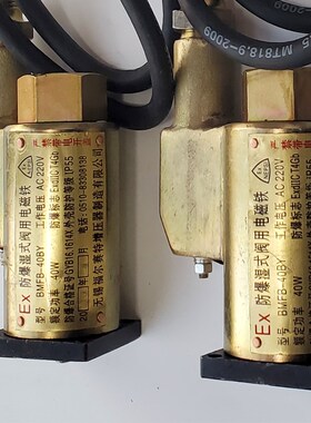 EX防爆湿式阀用电磁铁 电磁阀线圈BMFB-40BY BMFB-55BY BMFZ-40BY