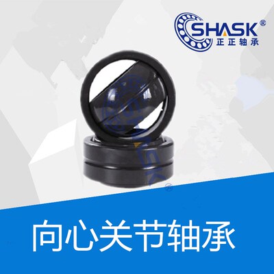 向心关节轴承 BNN01-GE 5 6 8 10 12 15 17 20 25 30 C