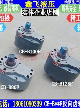 齿轮油泵CB-B80F反转齿轮泵CB-B100F CB-B125F逆向泵 逆转泵FTH