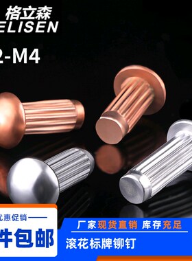 GB827铝标牌铆钉不锈钢滚花铝铆钉铜铭牌商标实心铆钉M2M2.5M3M4