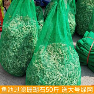 大块珊瑚石50斤锦鲤鱼池过滤材料鱼G池滤材珊瑚骨天然珊瑚石过滤