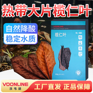 沃韦朗榄仁叶水族鱼缸PH酸碱度调节懒人叶降酸改善水质树叶揽仁叶