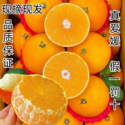 爱媛38号果冻橙正宗四川大果甜爆