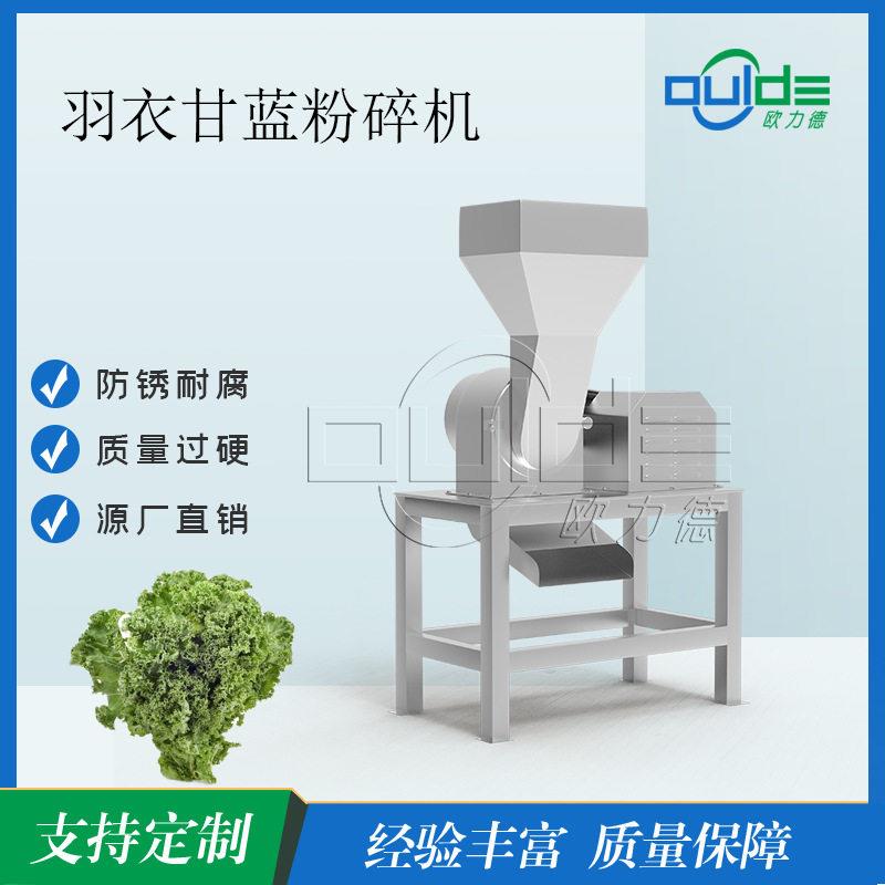 食品级羽衣甘蓝鼠笼式粉碎机无残留易清理羽衣甘蓝青汁加工配套