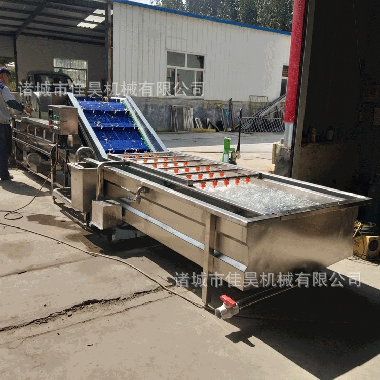 蔬菜清洗机 气泡洗菜机 毛豆气泡清洗机 小龙虾清洗设备,清洗/食品/商业设备,洗果机/洗菜机,淘宝优惠券,粉丝福利购,淘宝优惠卷