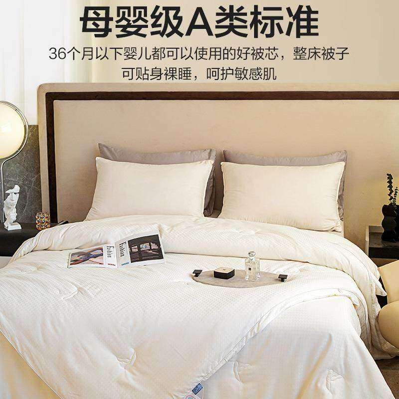 母级A拉类大豆纤维无品牌/加子母被厚二合一冬被家用链款被芯婴被