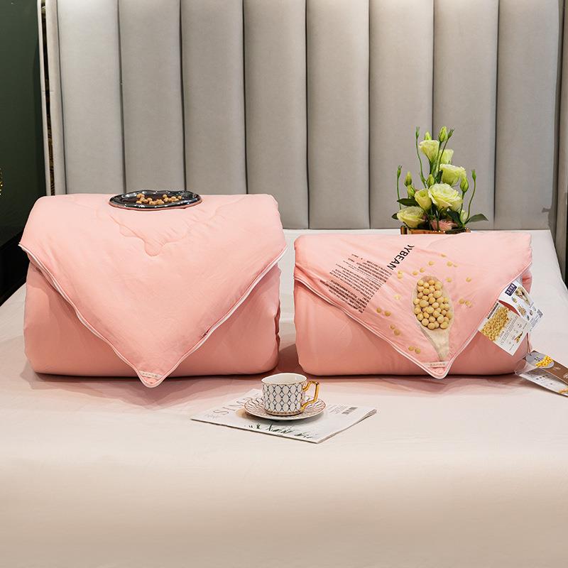 一冬季新款A类大被豆纤维被芯拉链款子母无品牌/被二合子双胎被