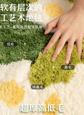 高水割低圈低高毛字母超纤植绒20250110浴室垫吸地现代简约进门地