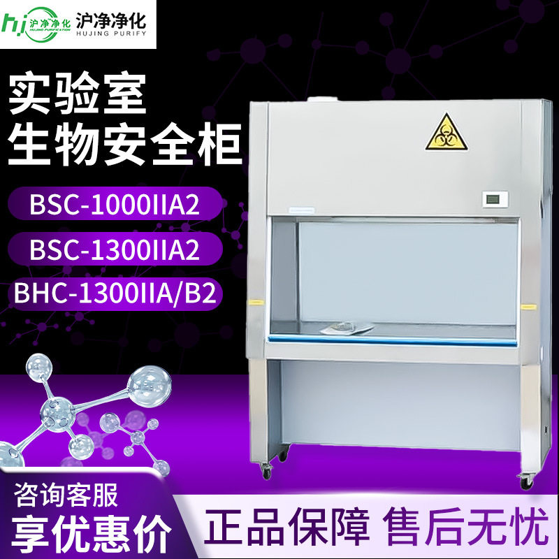 上海沪净BHC-1300IIA/B2 BSC-1000IIA2/1300IIA2二级生物安全柜