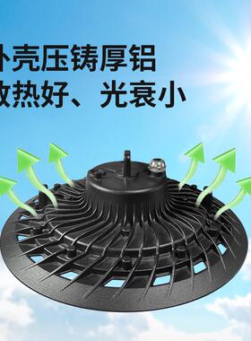 100W棚大樱桃蓝莓冬枣油桃卉玫瑰花专谱用WBO补光灯全光植物生长