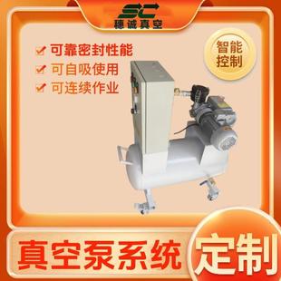 真空泵系统3KW包料负压DDU站创设计零泄漏制诚造厂新穗真空