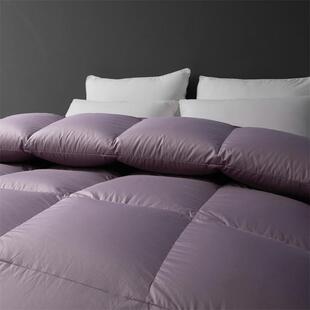 2025鹅无年新款双180支精梳棉立鹅绒被95%白绒冬被人被御体寒