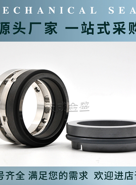 机械密封件C89U/C8U-25/35/40/43/45/55//P60化工泵机封碳化硅四