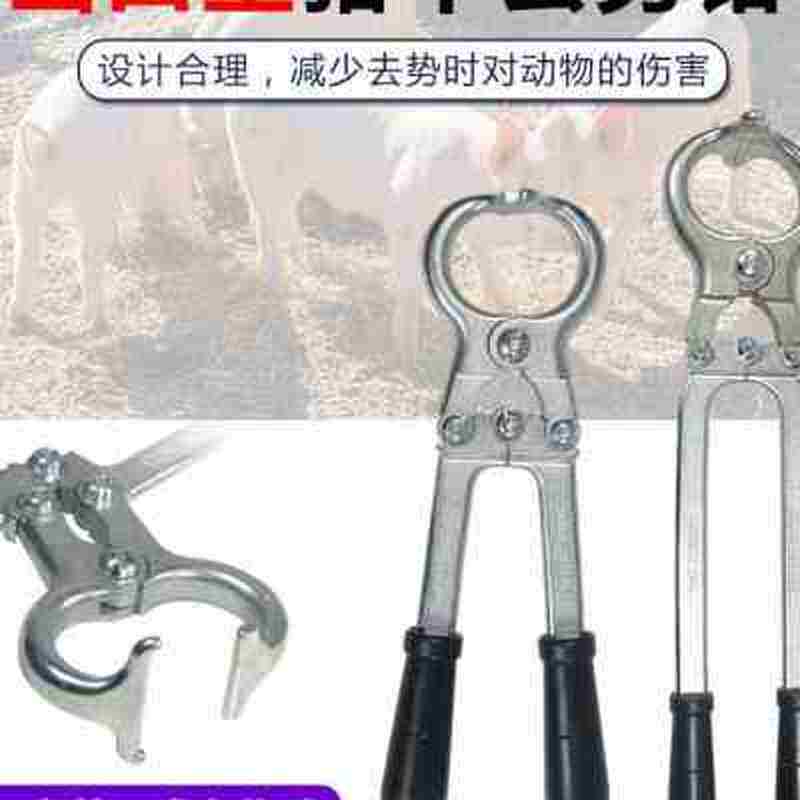 羊无血割势钳阉去l去势器夹蛋钳子牛羊钳煽R去钳养殖蛋势器械