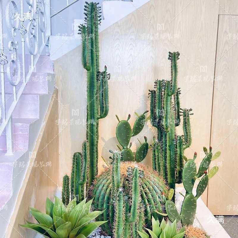 大型仙人人掌仙球仿真意创绿植组合tlznu+lz热带植物装饰楼梯落角